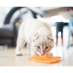 LickiMat Classic Casper – pomarańczowa - zdjęcie 2