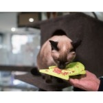 LickiMat Classic Felix – zielona - zdjęcie 3