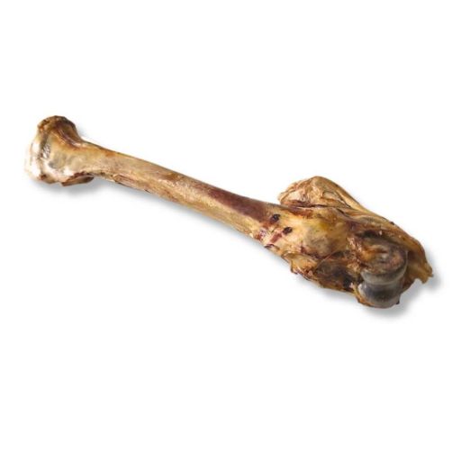 Psiastki Kość Jelnia dla Psa 1 szt. XXL