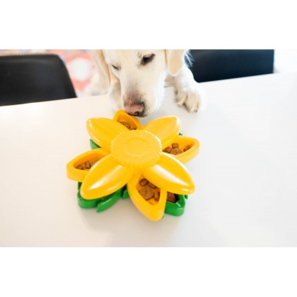 ZippyPaws SmartyPaws Miska Spowalniająca i Gra Interaktywna ZP1425